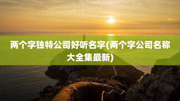 两个字独特公司好听名字(两个字公司名称大全集最新)