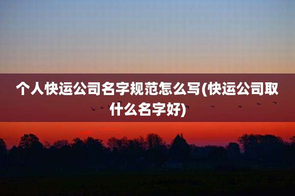 个人快运公司名字规范怎么写(快运公司取什么名字好)