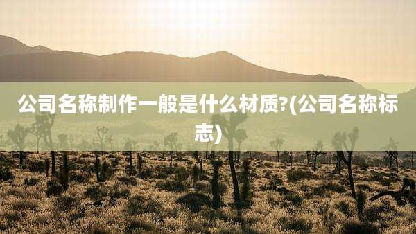 公司名称制作一般是什么材质?(公司名称标志)
