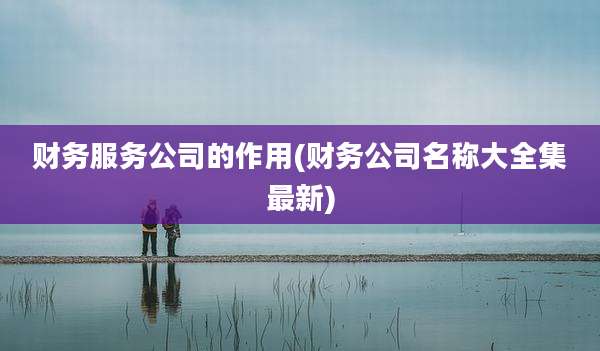 财务服务公司的作用(财务公司名称大全集最新)