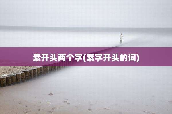素开头两个字(素字开头的词)