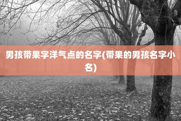男孩带果字洋气点的名字(带果的男孩名字小名)