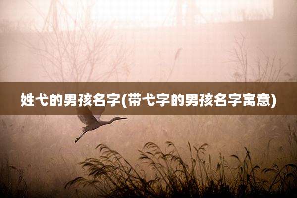 姓弋的男孩名字(带弋字的男孩名字寓意)