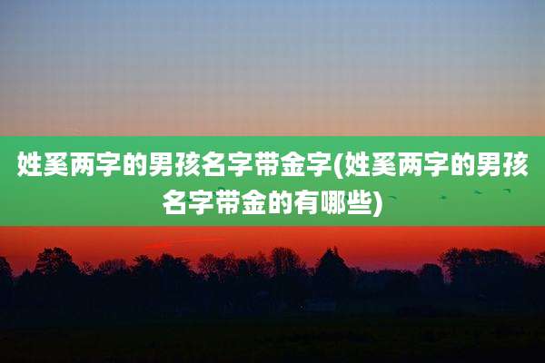 姓奚两字的男孩名字带金字(姓奚两字的男孩名字带金的有哪些)