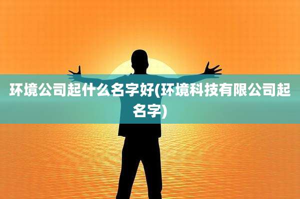 环境公司起什么名字好(环境科技有限公司起名字)