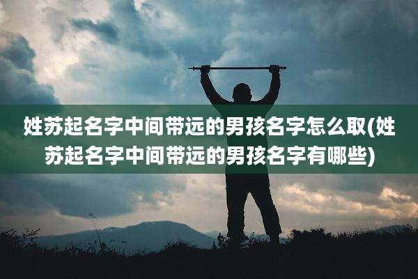姓苏起名字中间带远的男孩名字怎么取(姓苏起名字中间带远的男孩名字有哪些)