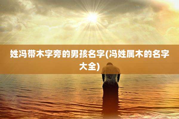 姓冯带木字旁的男孩名字(冯姓属木的名字大全)