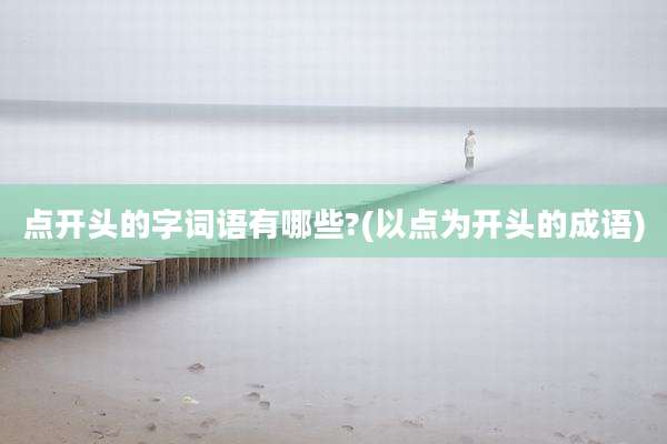 点开头的字词语有哪些?(以点为开头的成语)