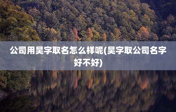 公司用昊字取名怎么样呢(昊字取公司名字好不好)
