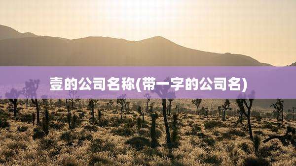 壹的公司名称(带一字的公司名)