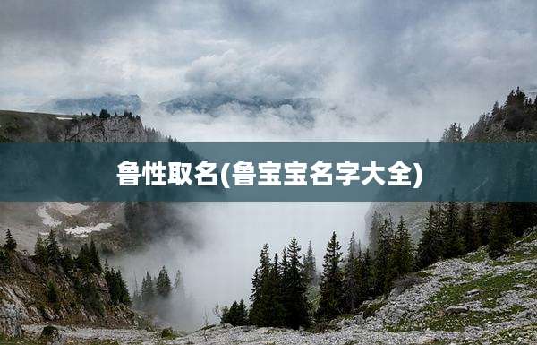 鲁性取名(鲁宝宝名字大全)