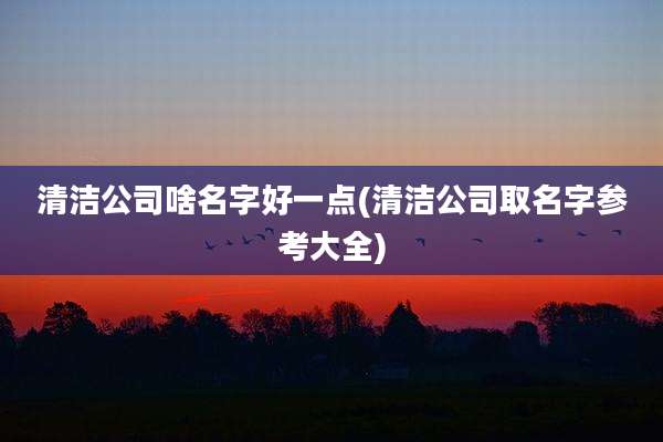清洁公司啥名字好一点(清洁公司取名字参考大全)