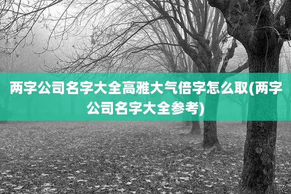 两字公司名字大全高雅大气倍字怎么取(两字公司名字大全参考)