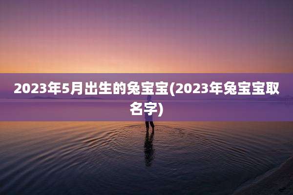 2023年5月出生的兔宝宝(2023年兔宝宝取名字)