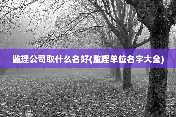 监理公司取什么名好(监理单位名字大全)