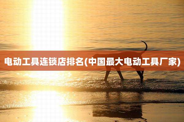 电动工具连锁店排名(中国最大电动工具厂家)