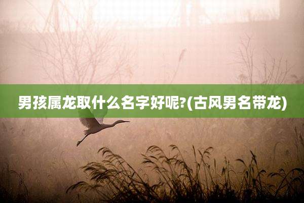 男孩属龙取什么名字好呢?(古风男名带龙)