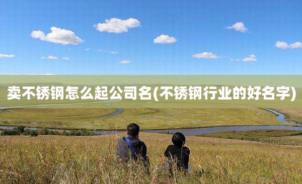 卖不锈钢怎么起公司名(不锈钢行业的好名字)