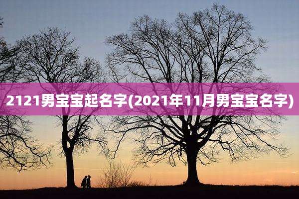 2121男宝宝起名字(2021年11月男宝宝名字)