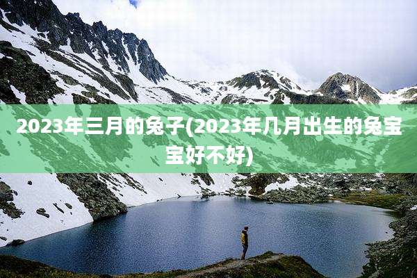 2023年三月的兔子(2023年几月出生的兔宝宝好不好)