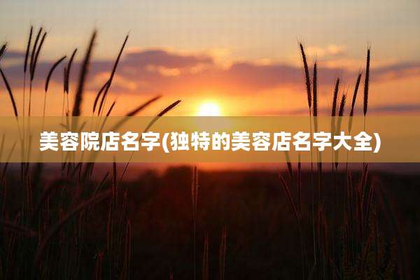 美容院店名字(独特的美容店名字大全)