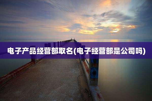 电子产品经营部取名(电子经营部是公司吗)