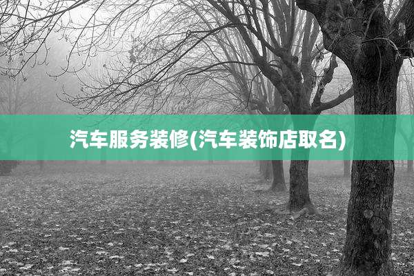 汽车服务装修(汽车装饰店取名)