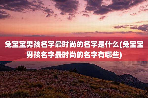 兔宝宝男孩名字最时尚的名字是什么(兔宝宝男孩名字最时尚的名字有哪些)