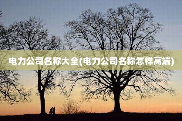 电力公司名称大全(电力公司名称怎样高端)