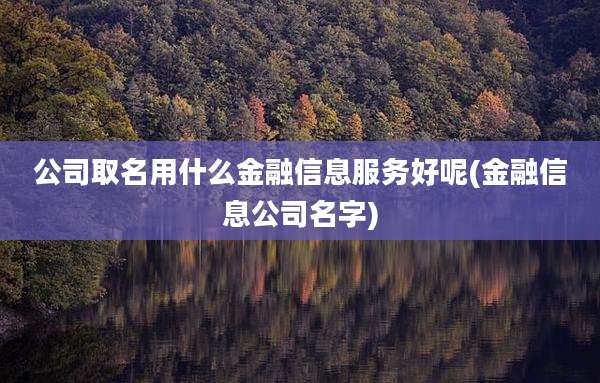 公司取名用什么金融信息服务好呢(金融信息公司名字)