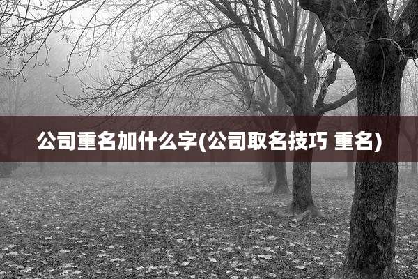 公司重名加什么字(公司取名技巧 重名)