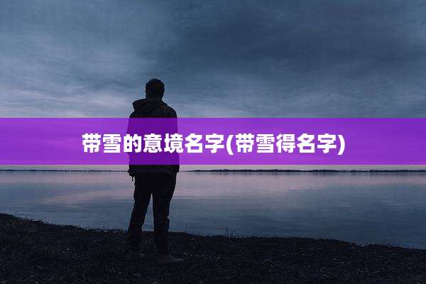 带雪的意境名字(带雪得名字)