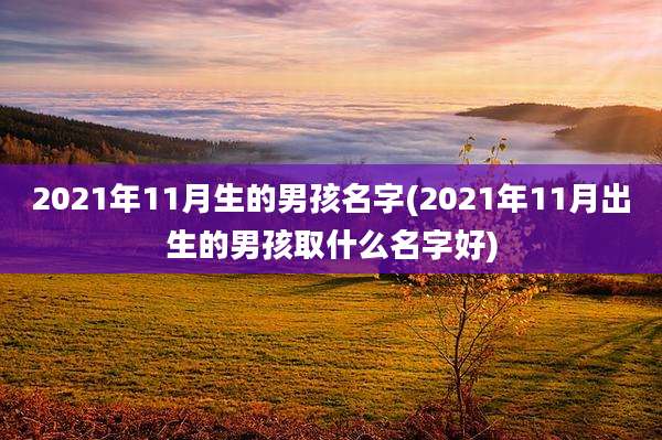 2021年11月生的男孩名字(2021年11月出生的男孩取什么名字好)
