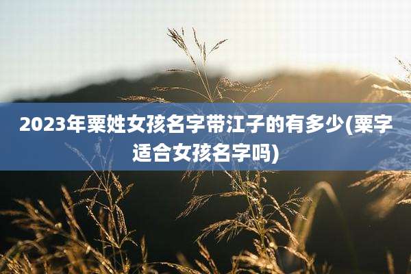 2023年粟姓女孩名字带江子的有多少(粟字适合女孩名字吗)