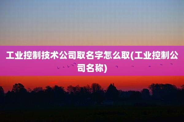 工业控制技术公司取名字怎么取(工业控制公司名称)