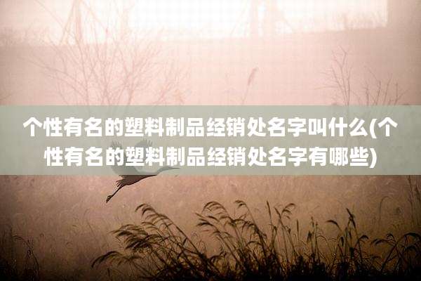 个性有名的塑料制品经销处名字叫什么(个性有名的塑料制品经销处名字有哪些)