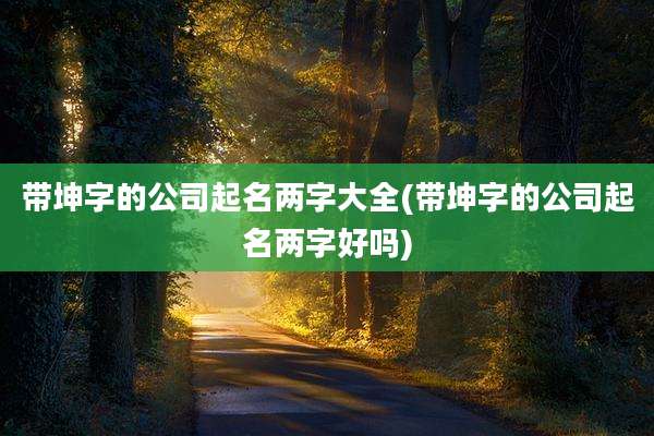 带坤字的公司起名两字大全(带坤字的公司起名两字好吗)