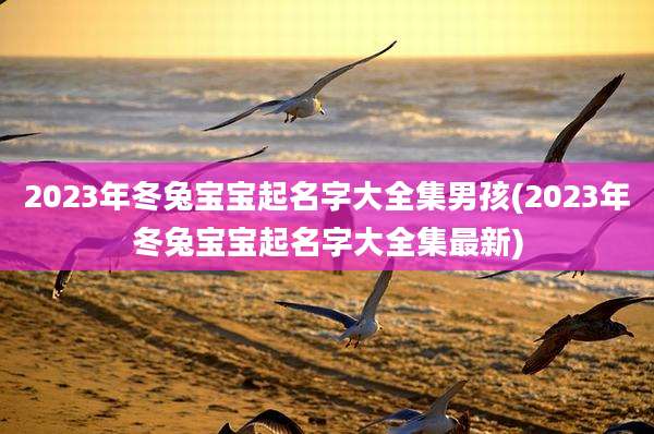 2023年冬兔宝宝起名字大全集男孩(2023年冬兔宝宝起名字大全集最新)