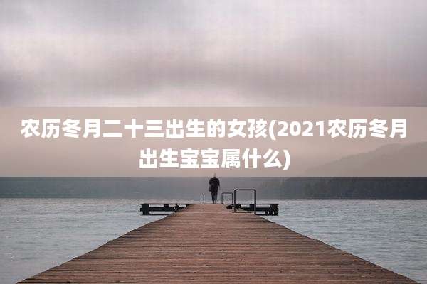 农历冬月二十三出生的女孩(2021农历冬月出生宝宝属什么)