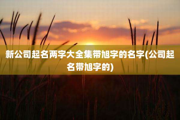 新公司起名两字大全集带旭字的名字(公司起名带旭字的)