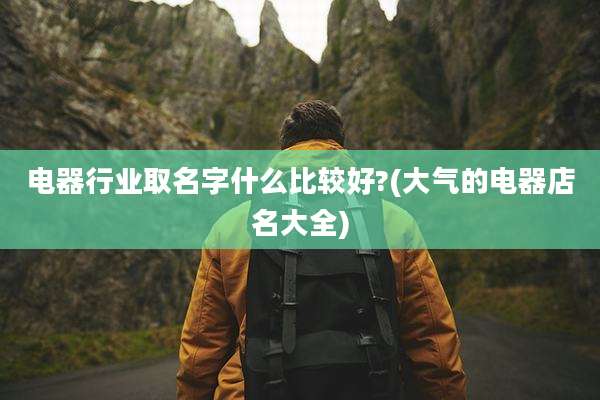 电器行业取名字什么比较好?(大气的电器店名大全)