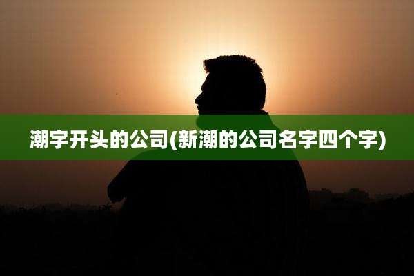 潮字开头的公司(新潮的公司名字四个字)