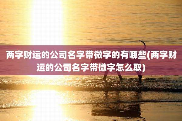 两字财运的公司名字带微字的有哪些(两字财运的公司名字带微字怎么取)