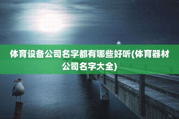 体育设备公司名字都有哪些好听(体育器材公司名字大全)