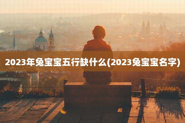 2023年兔宝宝五行缺什么(2023兔宝宝名字)
