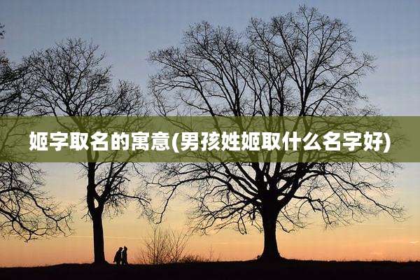 姬字取名的寓意(男孩姓姬取什么名字好)