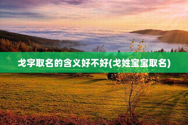 戈字取名的含义好不好(戈姓宝宝取名)