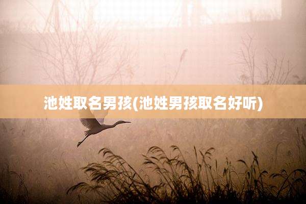 池姓取名男孩(池姓男孩取名好听)