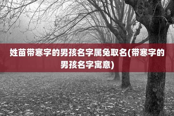 姓苗带寒字的男孩名字属兔取名(带寒字的男孩名字寓意)
