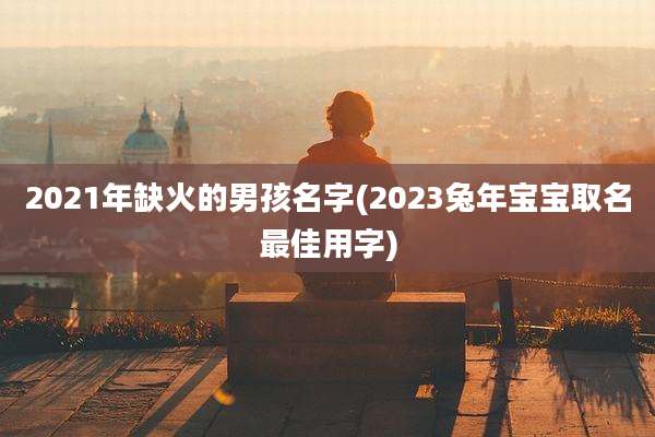 2021年缺火的男孩名字(2023兔年宝宝取名最佳用字)